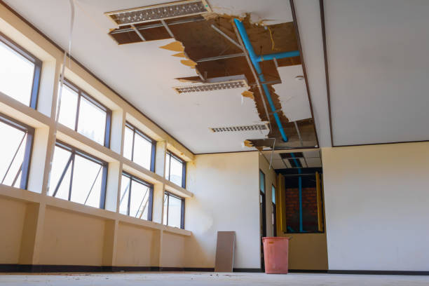 Best Professional water damage repair  in Bossier City, LA