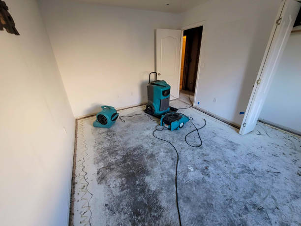 Professional Water damage restoration in Bossier City, LA