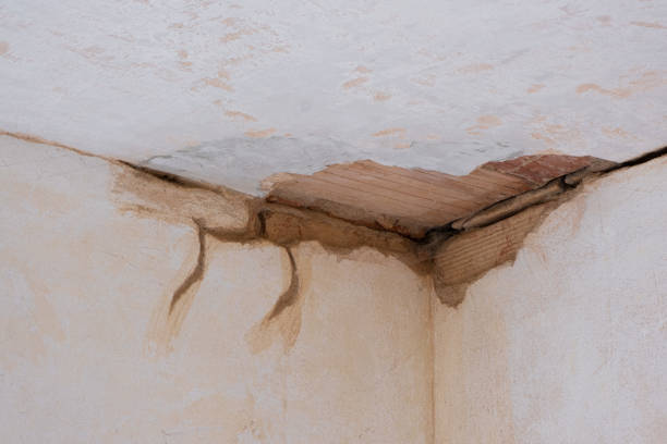 Best Flood restoration services  in Bossier City, LA