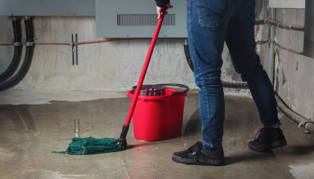  Bossier City, LA Water damage restoration Pros