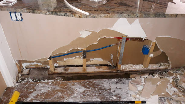 Best Professional water damage repair  in Bossier City, LA