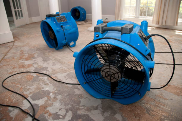 Best Water damage restoration company  in Bossier City, LA