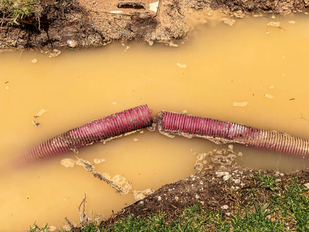 Best Local water damage restoration  in Bossier City, LA