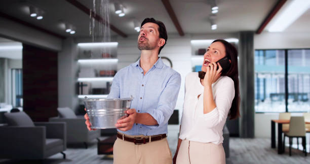 Best Water damage restoration near me  in Bossier City, LA