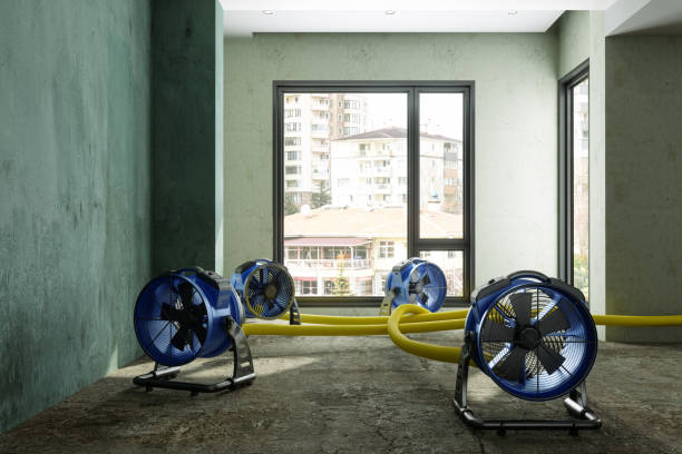 Best Water damage contractors near me  in Bossier City, LA