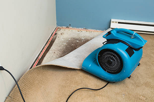 Best Residential water damage restoration  in Bossier City, LA